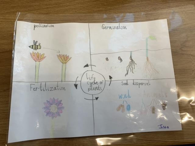 An image from a student book showing groupings in nature.
