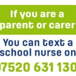 Highlighting a message from Southwark about being able to contact a school nurse to discuss your child's needs.